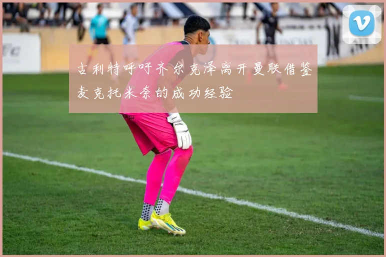 古利特呼吁齐尔克泽离开曼联借鉴麦克托米奈的成功经验