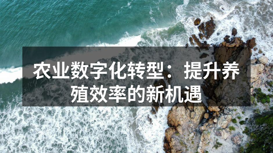 农业数字化转型：提升养殖效率的新机遇